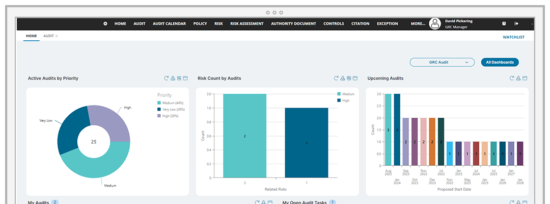 grc audit screenshot